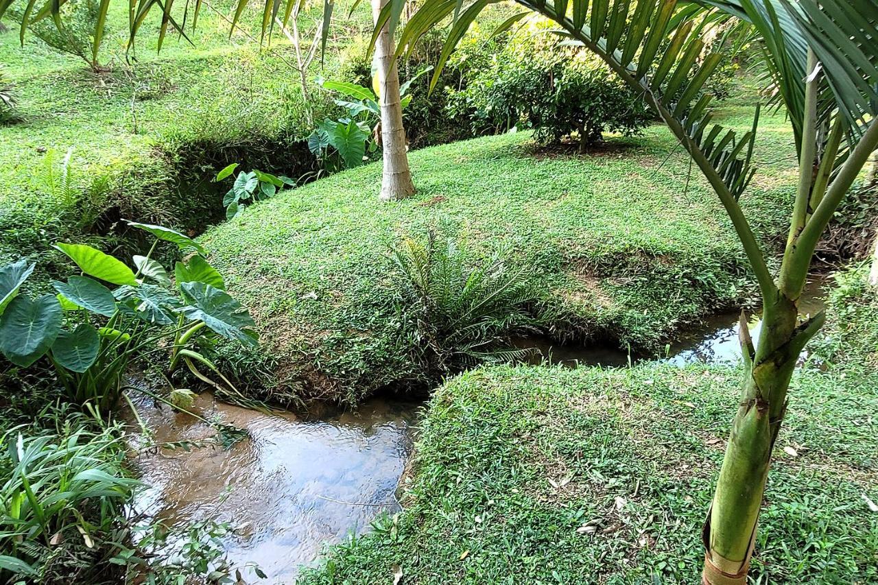 Recanto Dos Sabias - Chales Sao Bonifacio Sc Exterior foto